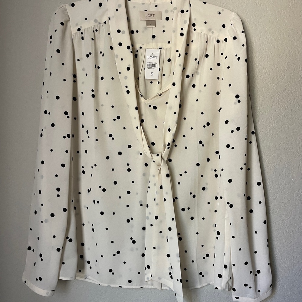 Loft Sheer Long Sleeve Blouse